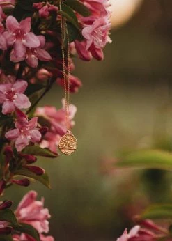 LILADROPSHIP MOON GODDESS RISING Jewellery